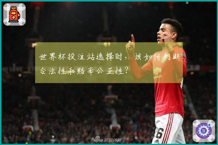 世界杯投注站选择时,该如何判断合法性和赔率公正性?