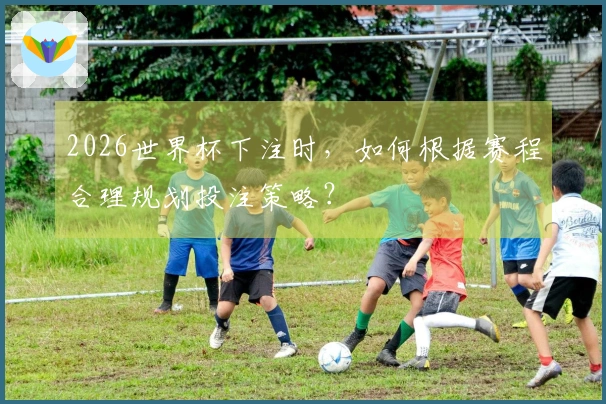 2026世界杯下注时，如何根据赛程合理规划投注策略？