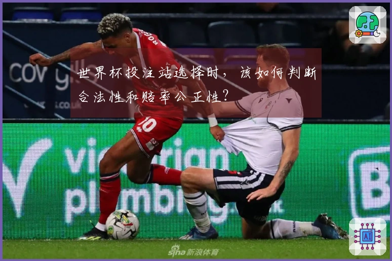 世界杯投注站选择时，该如何判断合法性和赔率公正性？