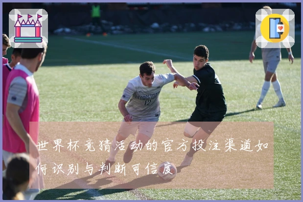 世界杯竞猜活动的官方投注渠道如何识别与判断可信度