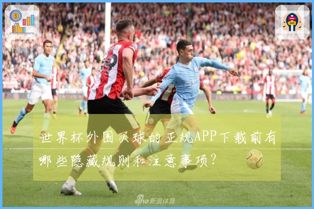 世界杯外围买球的正规APP下载前有哪些隐藏规则和注意事项？