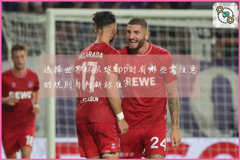 选择世界杯买球app时有哪些需注意的规则与判断标准？