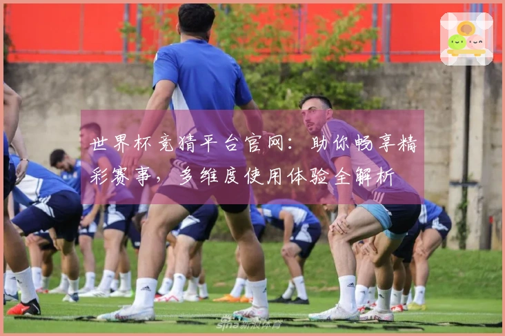世界杯竞猜平台官网:助你畅享精彩赛事,多维度使用体验全解析