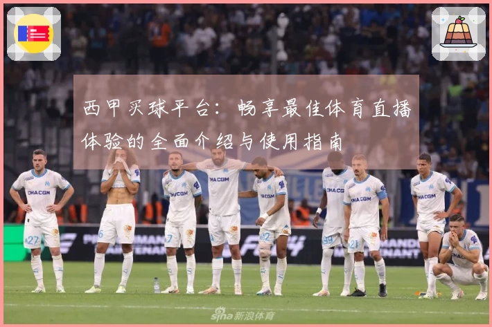 西甲买球平台:畅享最佳体育直播体验的全面介绍与使用指南