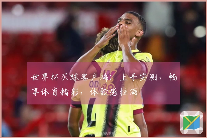 世界杯买球客户端：上手实测，畅享体育精彩，体验感拉满