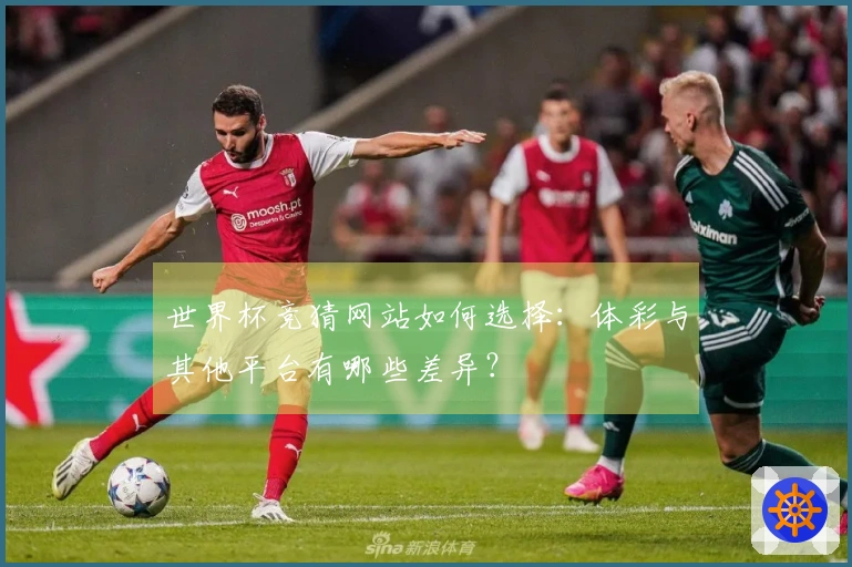 世界杯竞猜网站如何选择：体彩与其他平台有哪些差异？