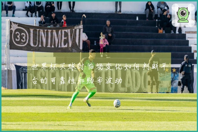 世界杯买球时临场变化如何判断平台的可靠性和赔率波动