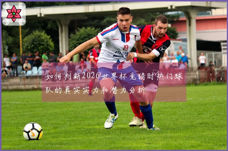 如何判断2026世界杯竞猜时热门球队的真实实力和潜力分析