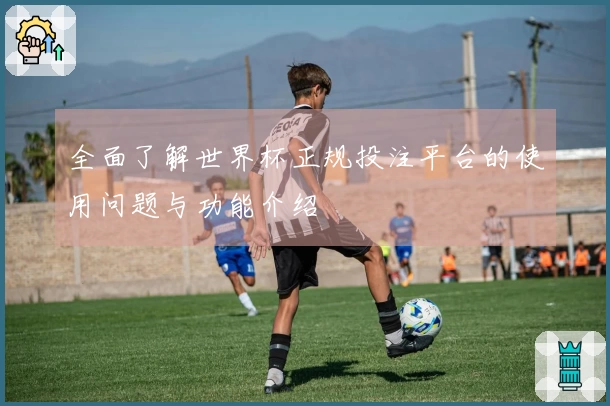 全面了解世界杯正规投注平台的使用问题与功能介绍