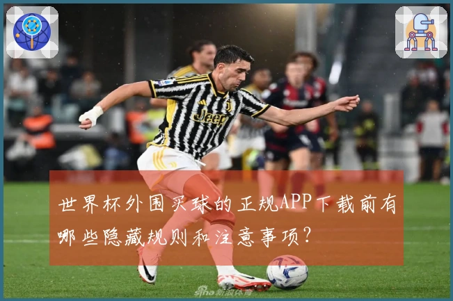 世界杯外围买球的正规APP下载前有哪些隐藏规则和注意事项？