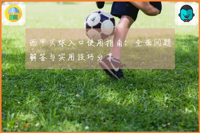 西甲买球入口使用指南：全面问题解答与实用技巧分享