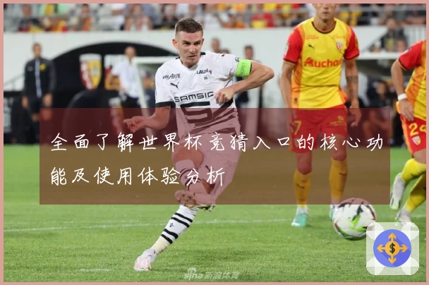 全面了解世界杯竞猜入口的核心功能及使用体验分析